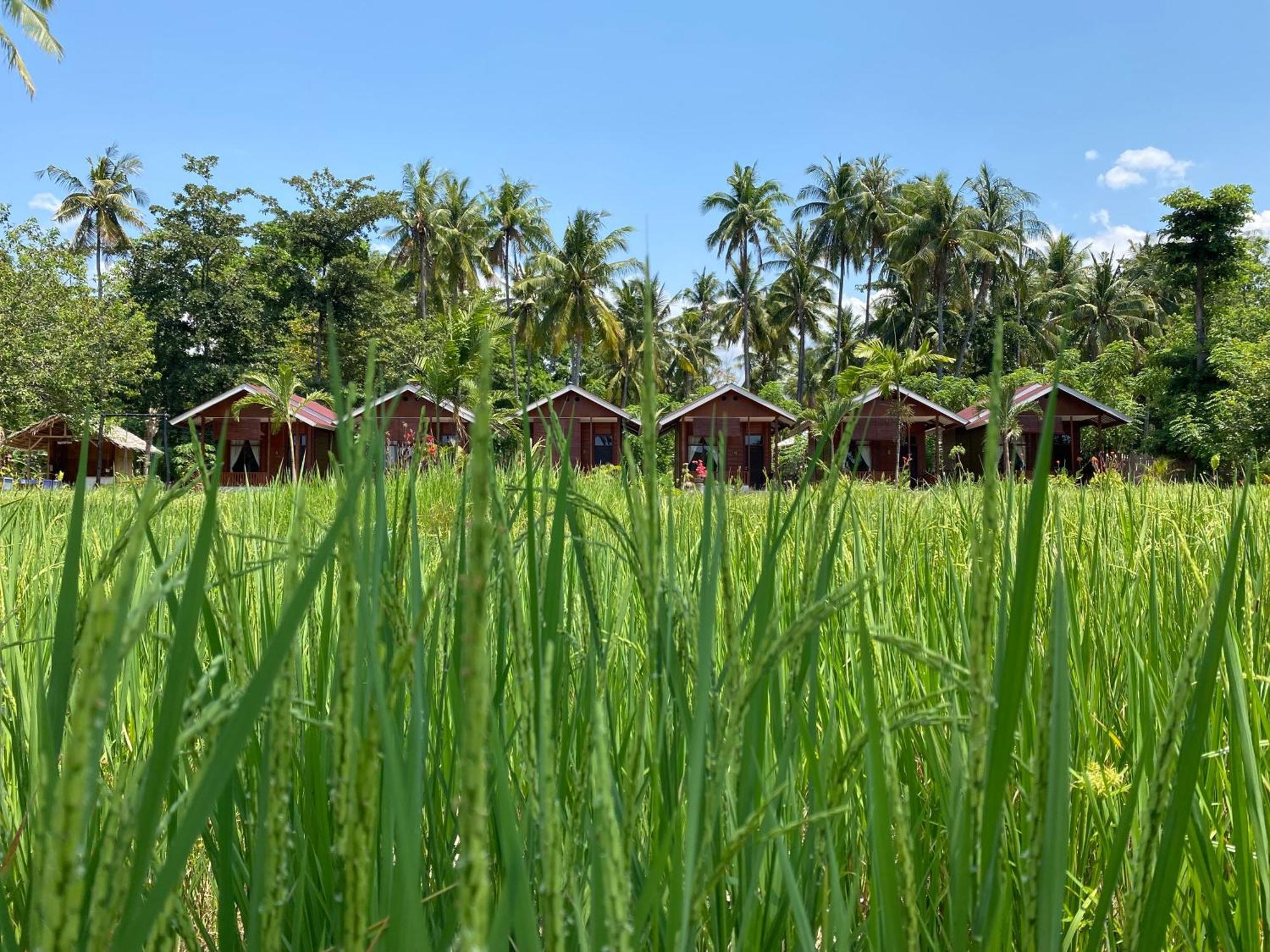 Nuna Bungalows Riung Exteriör bild
